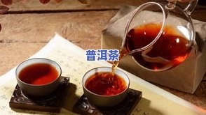 不老的普洱茶仓有哪些品种-不老的普洱茶仓有哪些品种图片