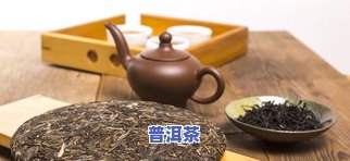 不老的普洱茶仓有哪些名称，探寻不老传说：普洱茶仓中的知名