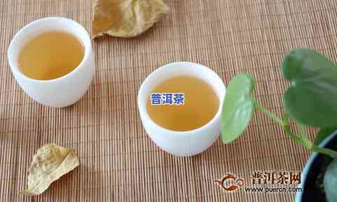 不老的普洱茶仓有哪些名称，探寻不老传说：普洱茶仓中的知名