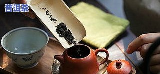 什么人适合喝熟普洱茶？哪些人不能喝？全面解析