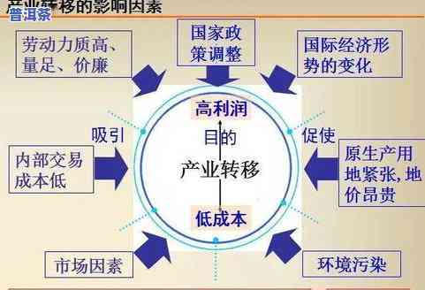 南美普洱茶：地域、口感特性的全面解析