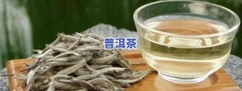 夏天女性能喝普洱茶吗-夏天女性能喝普洱茶吗