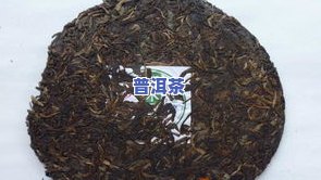 勐海乔木普洱茶2009价格与357克规格全解析