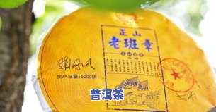 古树普洱茶价格：多少钱一盒？看图了解详情