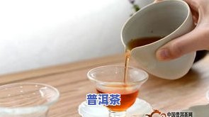 熟普起霉点：还能喝吗？探讨茶叶发霉后的饮用安全疑问