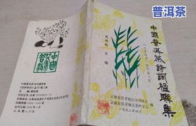 普洱茶词句-普洱茶的词句