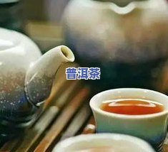 石家庄普洱茶场-石家庄普洱茶场在哪里