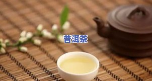 熟普能放多少年，探讨熟普洱茶的保存期限：你能存放多久？