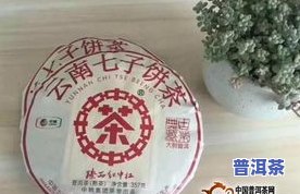 新益号普洱熟茶品种及价格，探索新益号普洱熟茶的世界：品种与价格全面解析