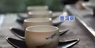 普洱茶7克更佳冲泡比例是多少？视频讲解