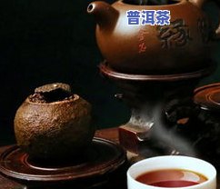 普洱茶7克更佳冲泡比例是多少？视频讲解