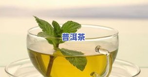 普洱茶适合夏天喝吗？探讨其在夏季的适宜性和对女性的影响