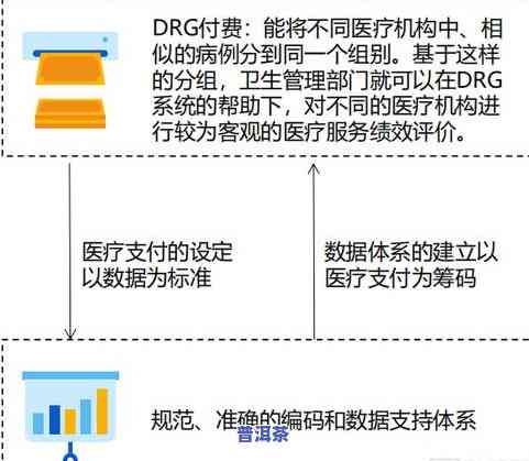 云南普洱茶包装分析：种类与报告全解析