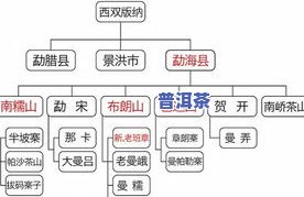 大益茶熟茶制作流程图，详解大益茶熟茶制作流程：从采摘到品饮的全过程