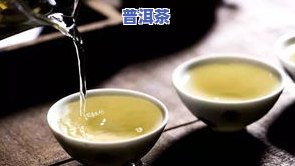 大益茶熟茶的正确冲泡方法，让你泡出好喝的大益茶熟茶