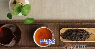 普洱茶饼怎么储藏，如何正确储存普洱茶饼？一份详尽的储藏指南