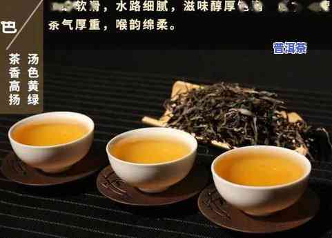 普洱茶适合每个人喝吗，普洱茶：真的适合所有人饮用吗？——上的观点解析