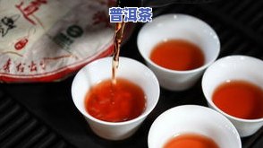 普洱茶交流最火的网站，探讨普洱茶文化：揭秘更受欢迎的交流平台