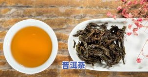 普洱茶消炎作用，探究普洱茶的消炎功效：一种天然的健康饮品