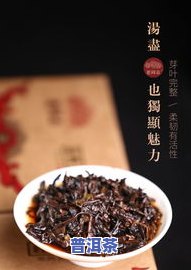 99永年普洱茶-普洱茶永年99是什么?