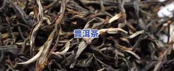 熟普茶砖里石块毛发-普洱茶砖长毛了还能喝吗