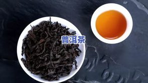 普洱茶毛茶价格多少？最新行情一文了解！