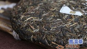 普洱茶毛茶价格多少？最新行情一文了解！