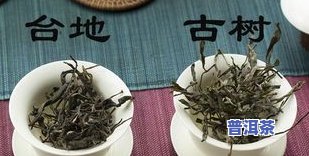 普洱茶知名9大茶山是什么-普洱茶九大茶山