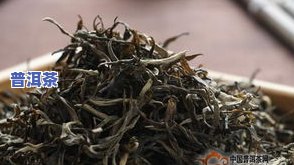 普洱茶毛茶价格-普洱茶毛茶价格表