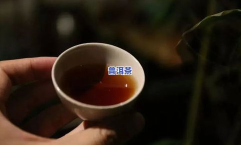 熟普茶汤的特点：口感醇厚，色泽红亮，具有特别的陈香和香特性，适合长期保存和品尝。