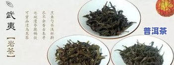 普洱茶茶叶等级1至9级哪个好，普洱茶等级解析：1至9级，哪个等级的茶叶更好？