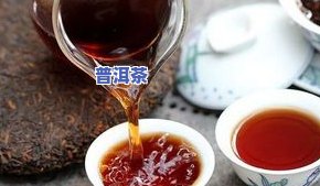 普洱茶学名叫什么，普洱茶的学名是什么？