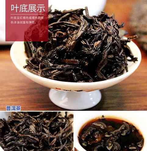 普洱茶也叫：现代普洱茶、陈年普洱茶、熟普洱茶、生普洱茶、古树普洱茶