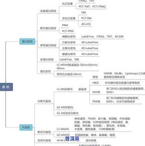 普洱茶优雅照片大全高清，高清欣赏：普洱茶的优雅之美照片大全