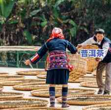 勐海南糯山七子饼茶-勐海南糯山七子饼茶07年价格