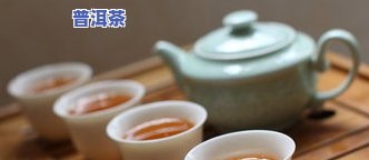 勐海南糯山七子饼茶-勐海南糯山七子饼茶07年价格