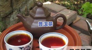 怎样迭择大益普洱茶好喝-怎样迭择大益普洱茶好喝呢