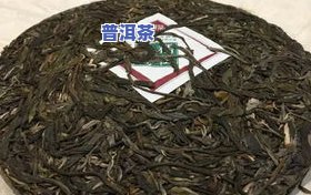 普洱茶多少年树龄算作古树？探讨其定义与标准