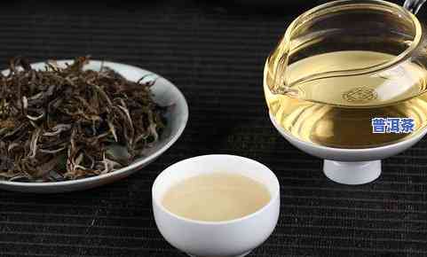 勐海布朗茶厂：探索古老茶园的魅力