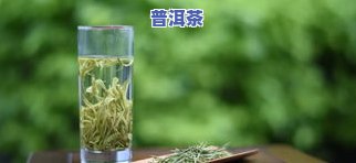 7741普洱茶-7741普洱茶值得收藏吗