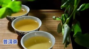 普洱茶有茶籽，是秋茶还是冬茶？能否饮用？