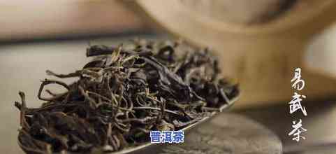 茶有普洱茶吗好不好喝呢，普洱茶：口感特别，值得一试！