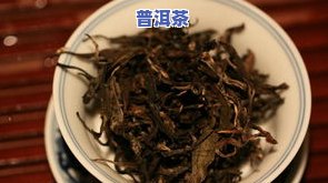 普洱茶七子饼的含义、价格及档次全解