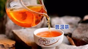 普洱茶的龙珠是什么意思，探秘普洱茶文化：龙珠是什么？