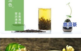 福海茶厂由谁创办？探析其与企业发展历程