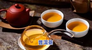 大益普洱茶什么型号比较好，推荐！大益普洱茶哪些型号口感更佳？