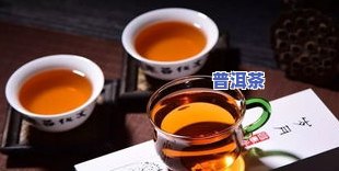 怎样品评普洱茶：从生茶到熟茶的全面指南