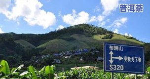 云南勐海南糯山七子饼茶，探寻云南勐海南糯山的七子饼茶之旅