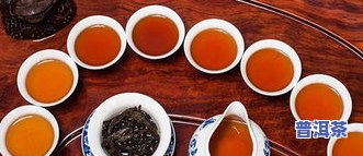 普洱茶0083-普洱茶0083与0085的区别