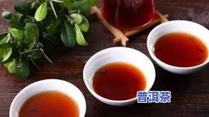 2004年普洱熟茶价格，回顾2004年：普洱熟茶价格的历史走势与作用因素分析